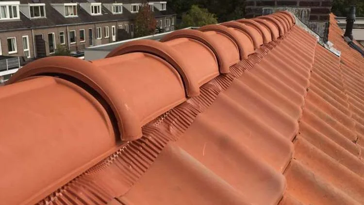 Nokvorsten en rode dakpannen van dichtbij